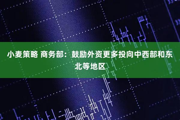 小麦策略 商务部：鼓励外资更多投向中西部和东北等地区